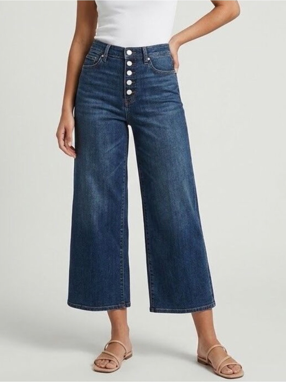 Banana Republic Wide Leg Crop Sz 8 NWT